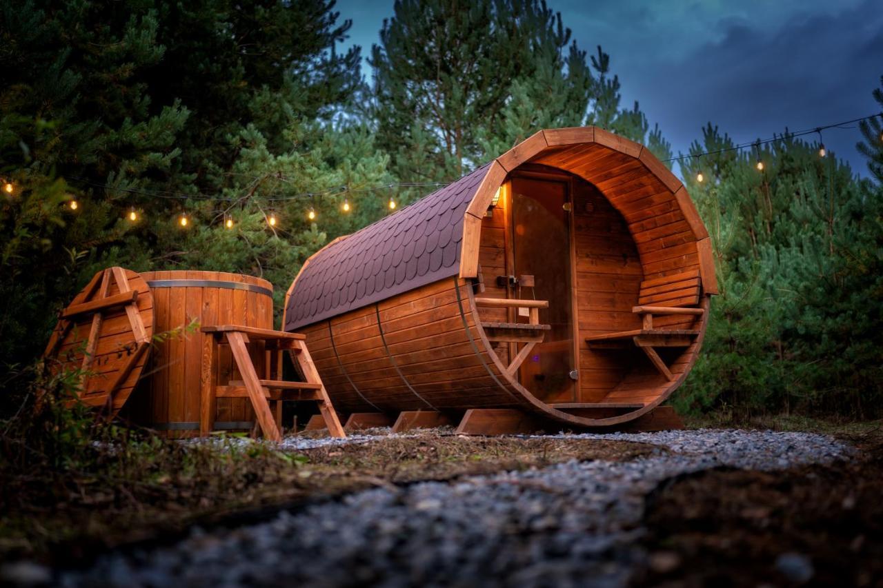 Dziupla House *