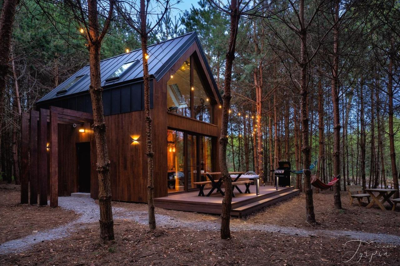 Dziupla House *