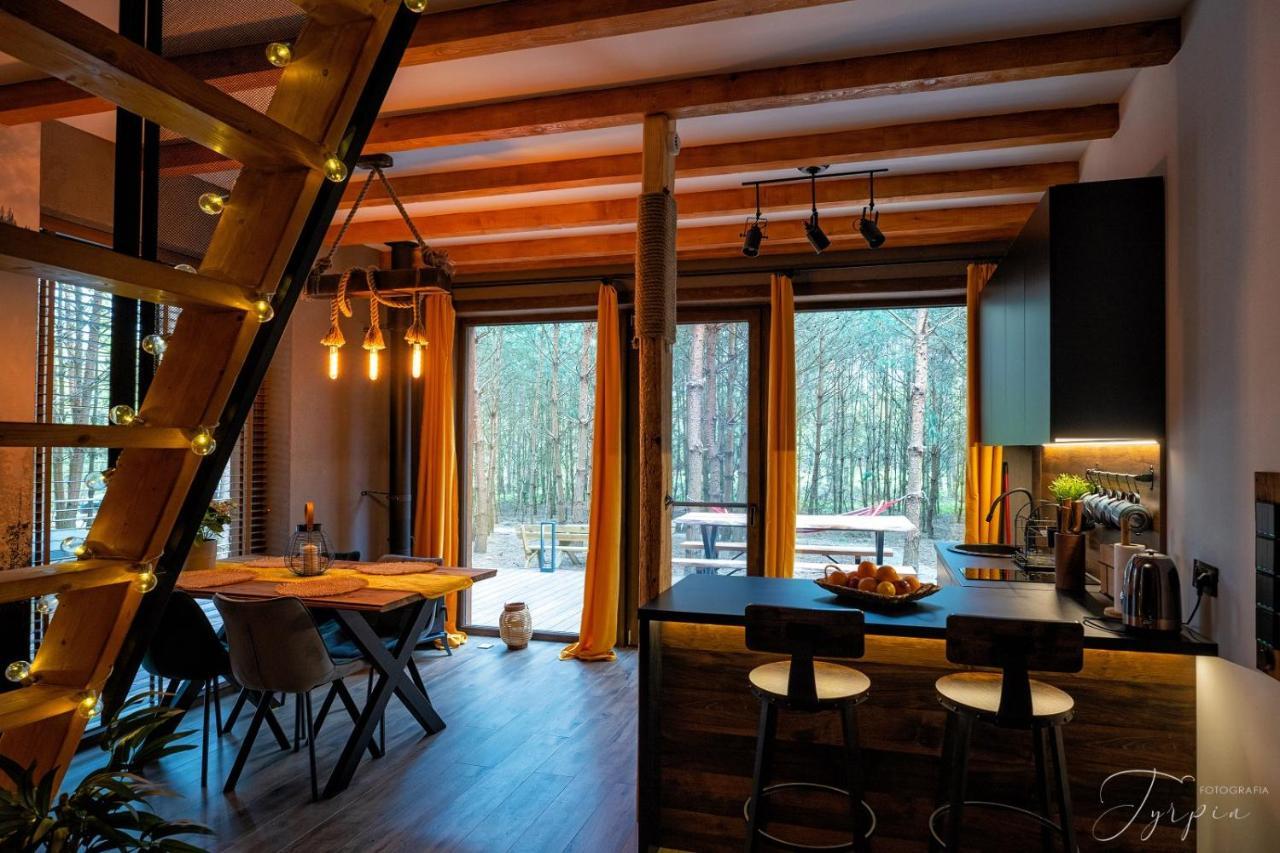 Dziupla House *