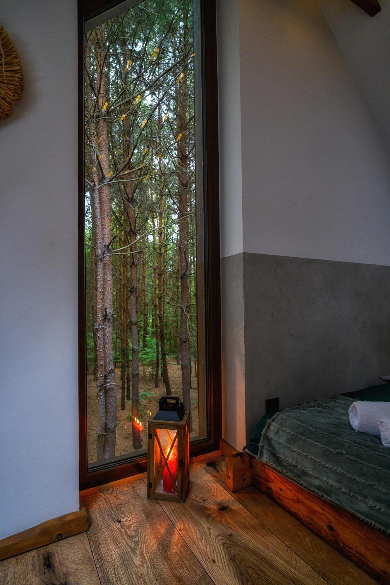 Dziupla House *