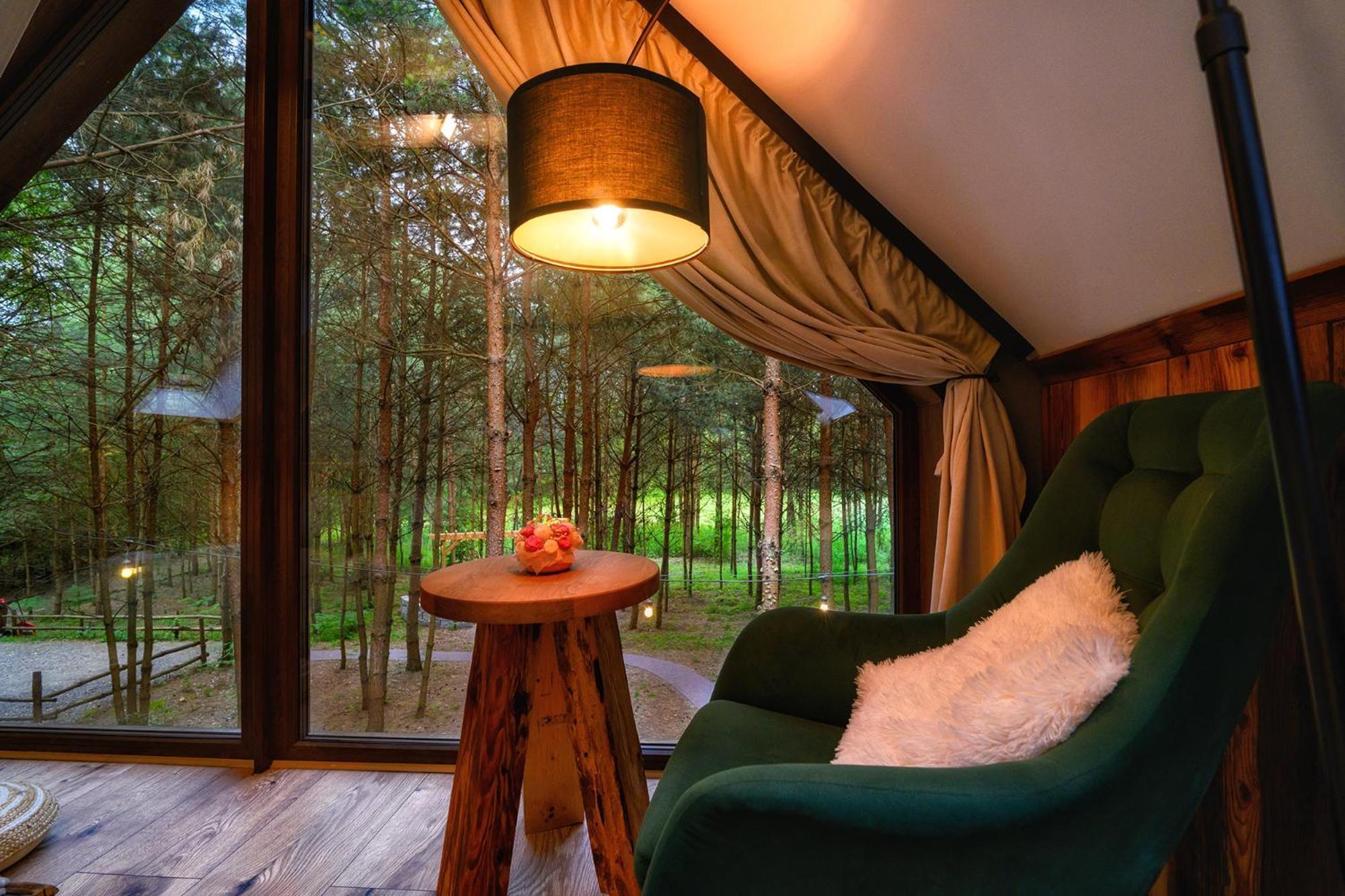 Holiday home Dziupla House